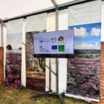 TV in a Marquee on stand at eye level